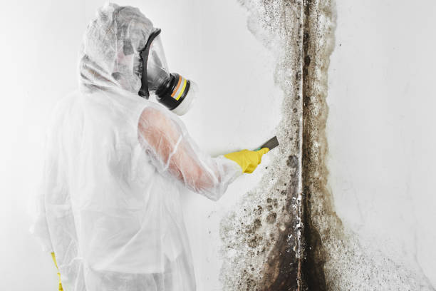Water Damage Restoration in Benwood, WV