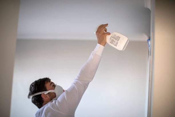 Professional Mold Removal in Benwood, WV