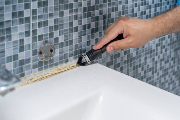 Best Mold Damage Repair  in Benwood, WV