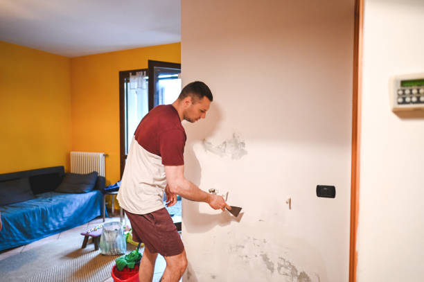Best Professional Mold Removal  in Benwood, WV